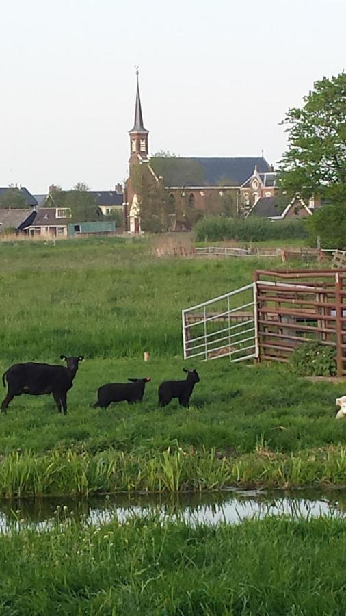 Zegveld Het Kraaienbosch Bed & Breakfast エクステリア 写真