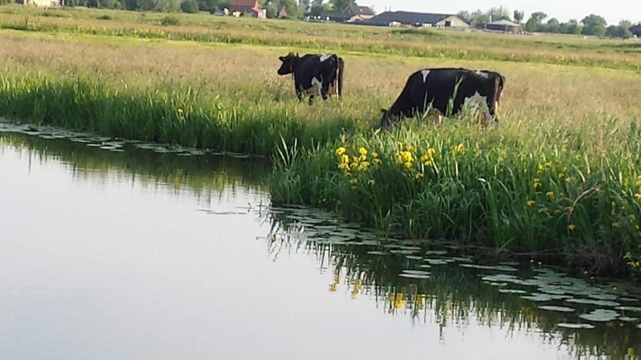 Zegveld Het Kraaienbosch Bed & Breakfast エクステリア 写真