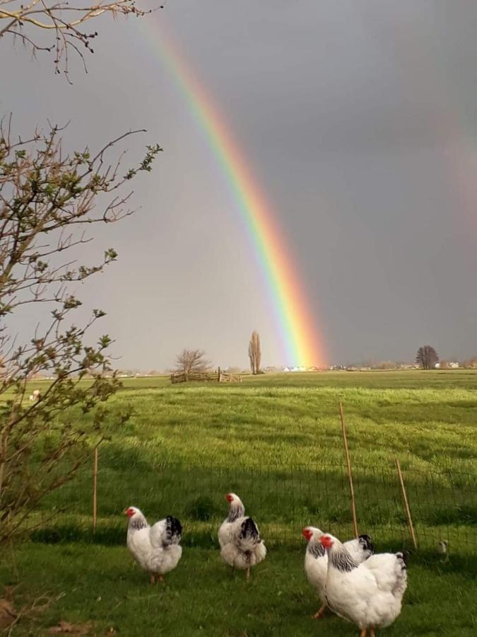 Zegveld Het Kraaienbosch Bed & Breakfast エクステリア 写真