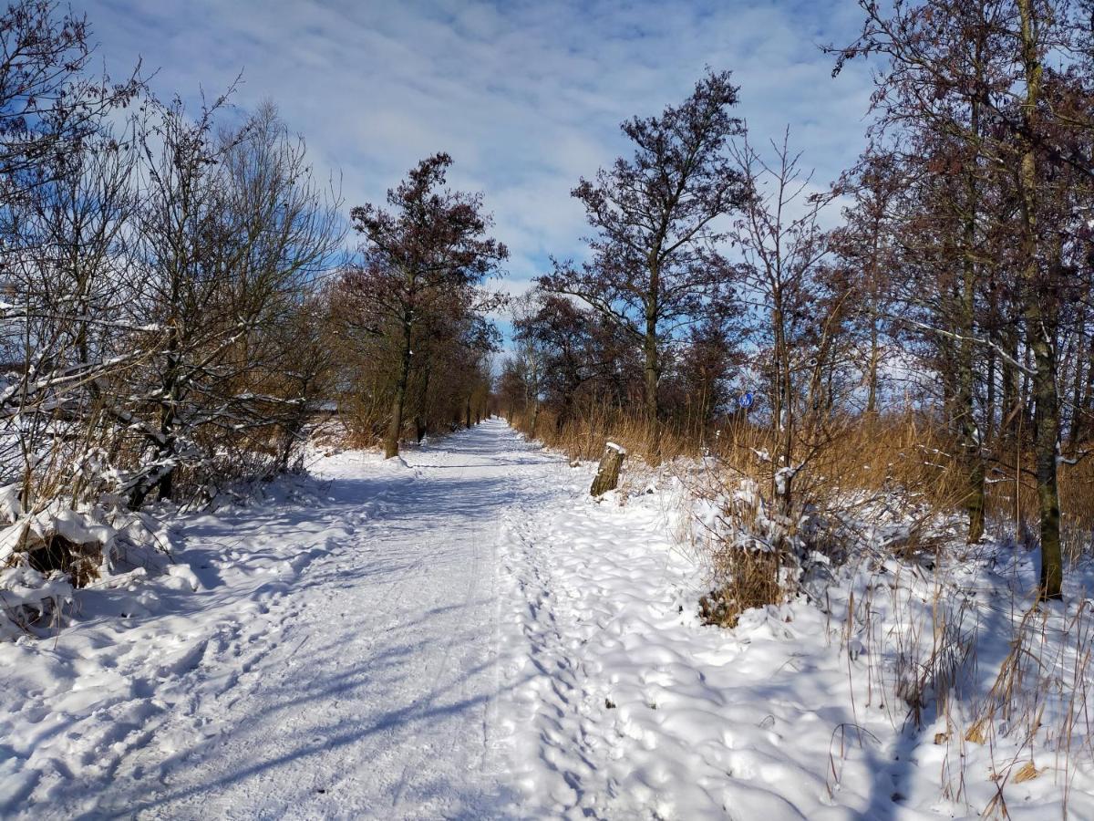 Zegveld Het Kraaienbosch Bed & Breakfast エクステリア 写真